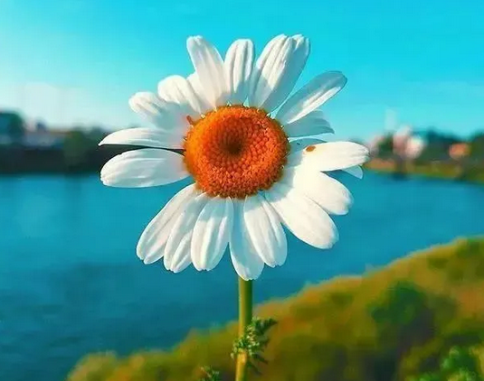冥想